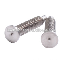 Manufacturer Professional Customized Stainless Steel Plug Electric Meter Screws